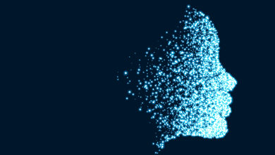 Tout internaute peut donner des « directives » concernant la conservation, la transmission ou l'effacement de ses données numériques après son décès