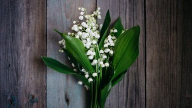 Est-ce que la vente de muguet est autorissée sur la voie publique?