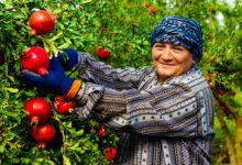 Main-d'oeuvre Legalissimo entreprise