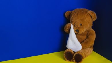 Inceste en France : Prise de parole générale