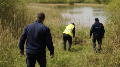 Loiret : des restes humains d'un homme disparu en 2021 retrouvés dans un marais