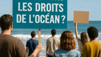 Quels sont les droits de l'Océan ?