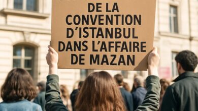 L'application de la Convention d'Istanbul dans l'affaire de Mazan : une jurisprudence pour protéger les victimes ?