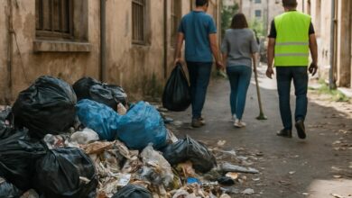 Lutte contre l'insalubrité : la non-responsabilité du propriétaire.