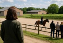 L'urbanisme et les normes agricoles pour les infrastructures équestres.